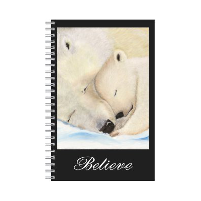 Notebooks Polars